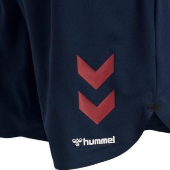 Hummel Pantalones Cortos Pro XK Training Hombre