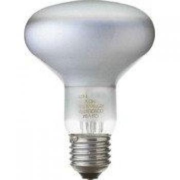 0066073 bombilla conc r80 100w 240v e27