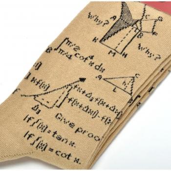 The Tie Studio Calcetines mathematician