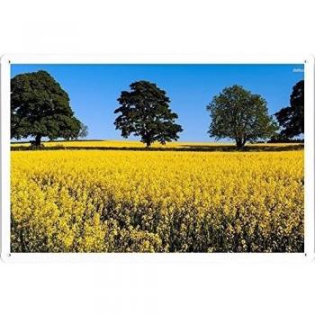 Metal cartel Cartel de chapa Hojalata sesión #32059 Rapeseed Field Retro Vintage Pared Decoración by hamgaacaan