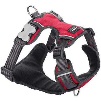 Arnés Acolchado Rojo XL de la prestigiosa marca Red Dingo