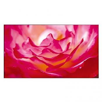 Benq PH550 55 LED Full HD Negro pantalla pública