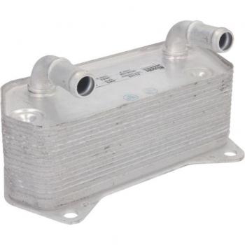 Radiador de aceite, transmisión automática NISSENS 91160 para VOLKSWAGEN Golf y AUDI TT