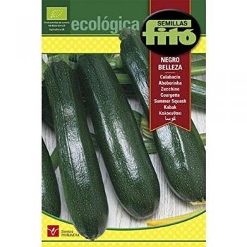 Semillas Ecológicas Fitó 6331 - Calabacín Belleza Negra