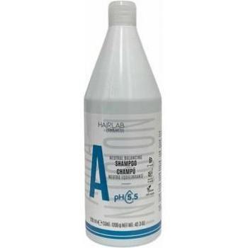 Champú Salerm HairLab A Equilibrante 1,2 L - Champú equilibrante para uso frecuente, formulación suave, ideal para todo tipo de cabellos, envase de 1200 ml