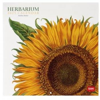 Calendario de pared 2025 Herbarium Legami multilingüe, tamaño 30 x 29 cm, incluye 12 meses, planificador anual, espacio para notas, disponible en 6 idiomas, con signos del zodiaco y fiestas