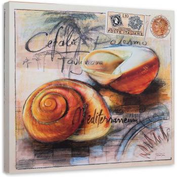 Lienzo Impreso Postales de Conchas Marinas 30x30 Beige