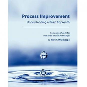 Process Improvement Handbook: Techniques for Efficiency and Effectiveness