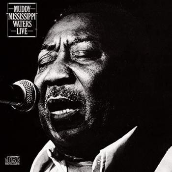 Muddy Mississippi Waters