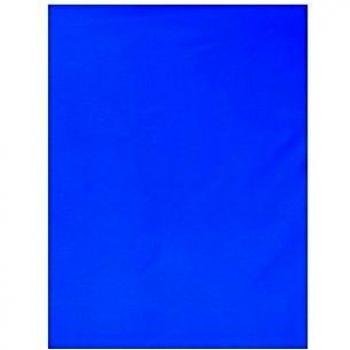 Falcon Eyes - Falcon Eyes Background Cloth BCP-05 2,9x5 m Chroma Blue Washable