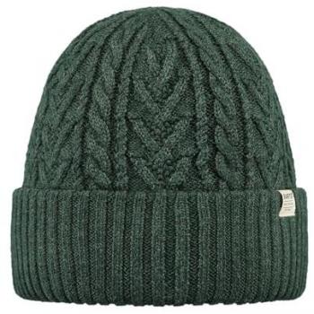 Men's Barts Pacifick Fleece Lined Beanie - Green