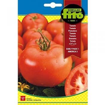 Semillas Fitó 318 - Semillas de Tomate