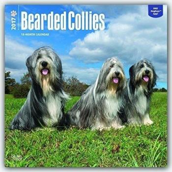 Bearded Collies 2017 Calendar