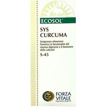 Extracto Líquido de Cúrcuma Forza Vitale 50 ml