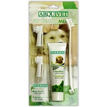 Arquivet dental set