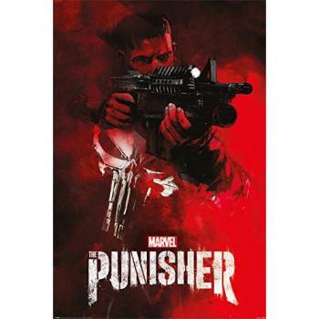 Póster de The Punisher - Apunta y Dispara
