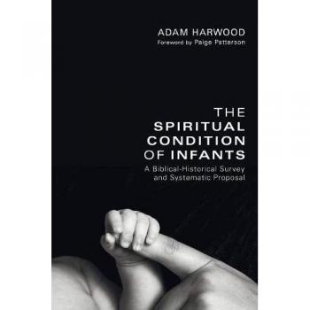 Biblical-Historical Analysis of Infant Spirituality: A Systematic Proposal