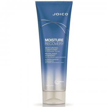 Joico Moisture Recovery Conditioner 250ml