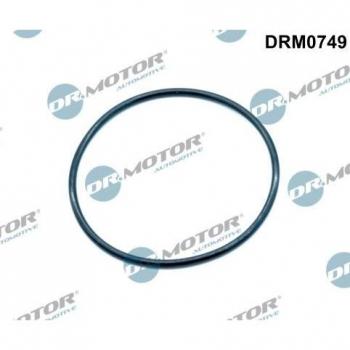 Junta de Colector de Admisión DR.MOTOR AUTOMOTIVE DRM0749
