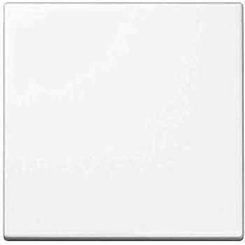 LS 1700 WW - Intelligent control element white