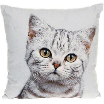 Cojín con funda, Diseño de impresión fotográfica de gatito