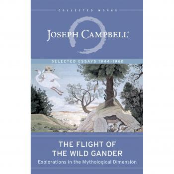 The Flight of the Wild Gander: Explorations in the Mythological Dimension. Selected Essays 1944-1968