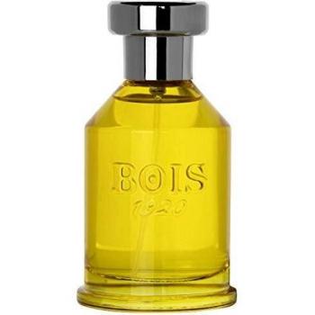 BOIS 1920 Aethereus Eau de Parfum 100 ml