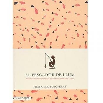 El pescador de llum: Alliberar-se de la perfecció és el millor camí cap a l'èxit - Francesc Puigpelat Valls