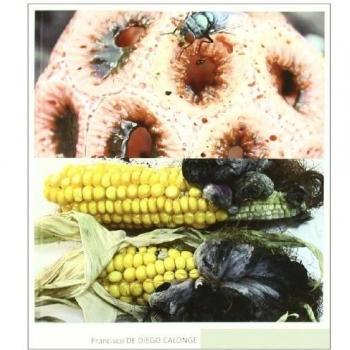 Hongos medicinales