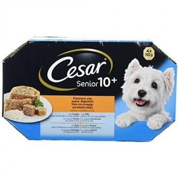 CESAR Multipack Terrine pour chien senior - 4 x 150 g