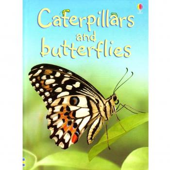 Caterpillars and Butterflies