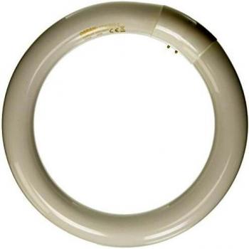 OSRAM Lumilux T9C 22W 865 Fluorescent Ring Lamp