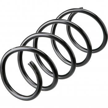 Muelle de suspensión Lesjöfors 4092602 - Muelle de suspensión, alta calidad, diseño optimizado para un rendimiento superior, fabricado con materiales duraderos, compatible con diversas marcas y modelos de vehículos