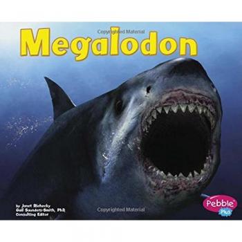 Megalodon