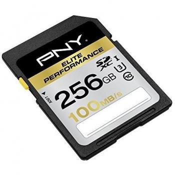 PNY SD256ELIPER-EF - Tarjeta SD