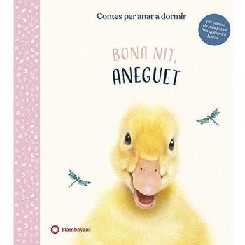 Bona Nit, Aneguet