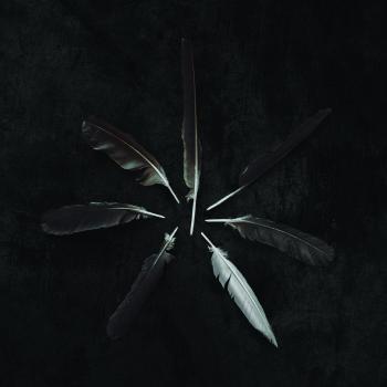 Collector's Edition Colored Vinyl: Dust and Disquiet