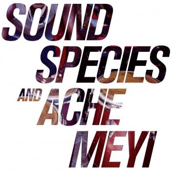 Soundspecies & Ache Meyi (2 Vinyl Records)