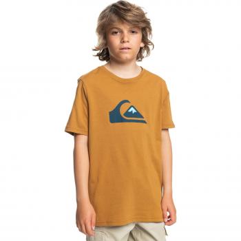 Camiseta de niños Quiksilver Comp Logo