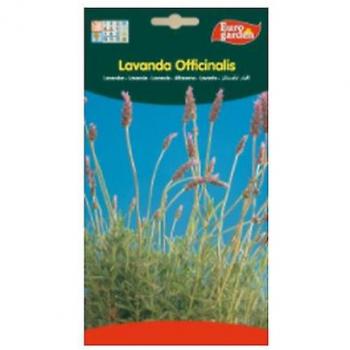 Semillas de Lavanda Officinalis Euro Garden 10 unidades 5 g