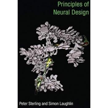Principles of Neural Design