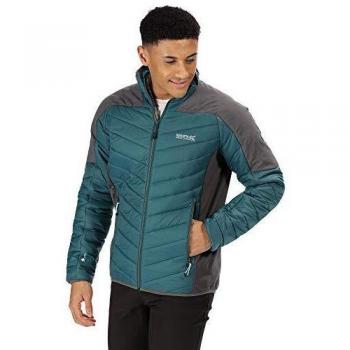 Regatta Halton III Chaqueta ligera de alpaca con aislamiento de lana repelente al agua para hombre, Hombre, Chaquetas acolchadas, RMN136 92Q70, Verde azulado profundo/imán., L