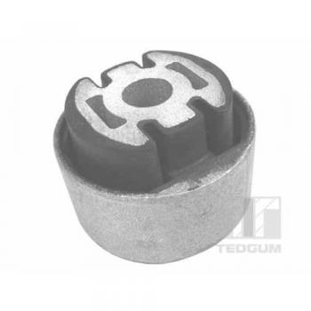 Brazo oscilante TEDGUM 214945 con casquillo de alojamiento del brazo oscilante transversal, buje del brazo de control delantero izquierdo/derecho (trasero)
