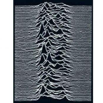 Unknown Pleasures [VINYL]