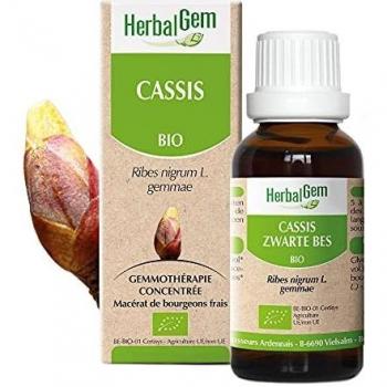 Macérat concentré de cassis bio 30 ml