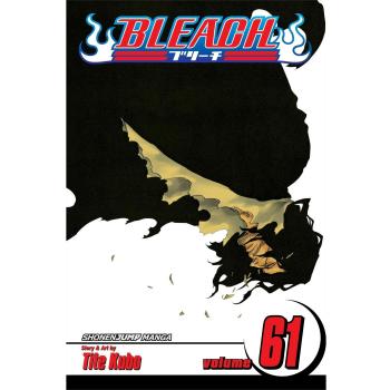 Bleach Volume 61: The Last 9 Days