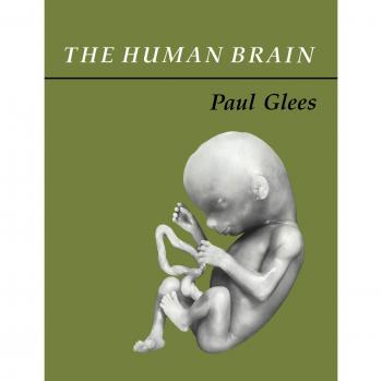 Cerebro Humano en Tapa Blanda - Paul Glees