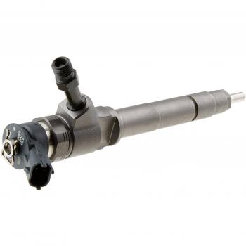 Bosch 0445110250 Injector