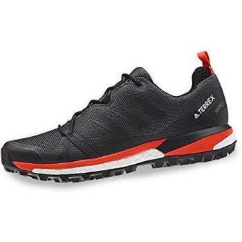Adidas Terrex Skychaser Lt GTX, Zapatillas de Deporte Hombre, Multicolor