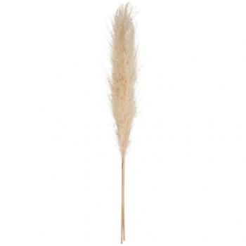 Lote de 3 Tallos de Pampa Natural - 110 Cm de Alto - Flor Artificial - Decoración Natural